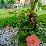 Bed & Breakfast Atlantide 4*