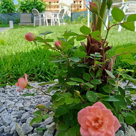 Bed and breakfast Atlantide 3*