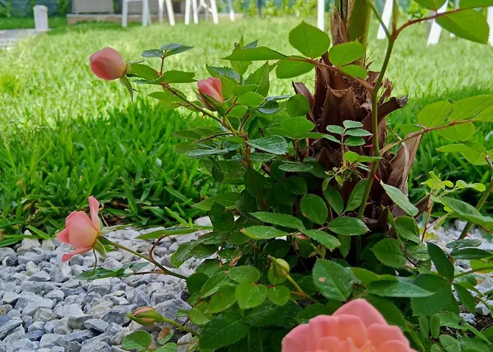 Bed & Breakfast Atlantide 3*